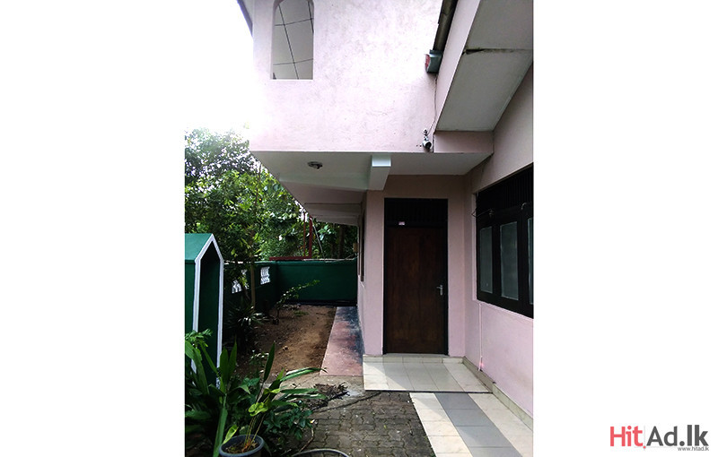 House for Rent in Pannipitiya