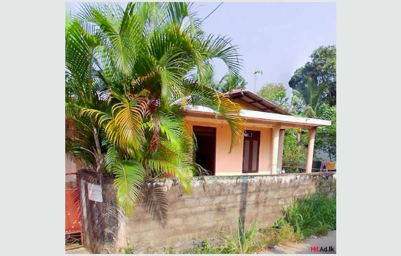 Land With House For Sale In Wellampitiya