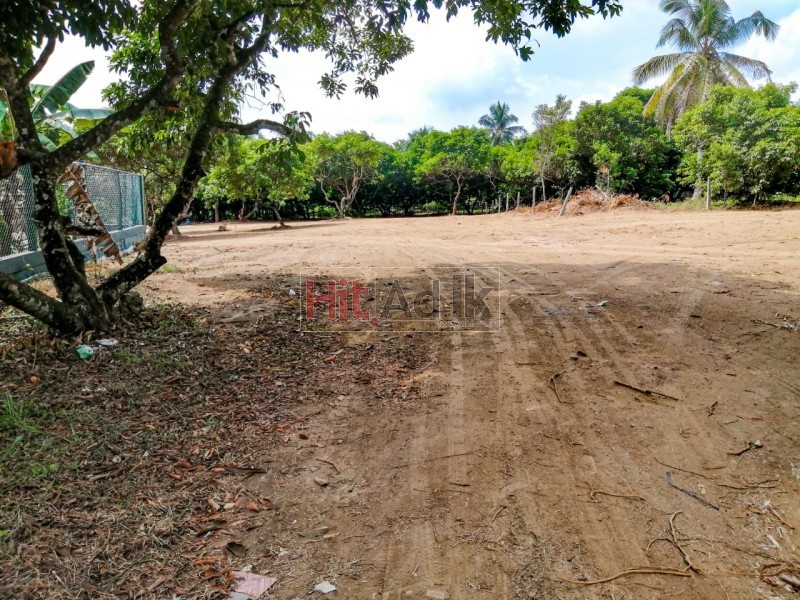 Land for Sale in Ballapitiya 