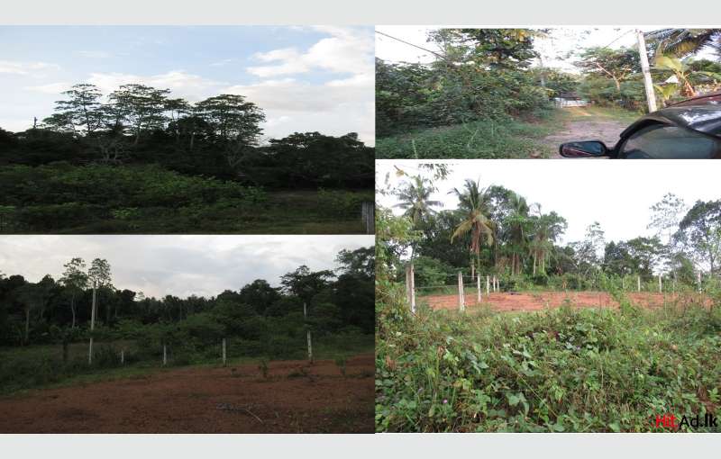 Kalutara Land For Sale