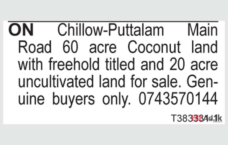 ON Chillow-Puttalam