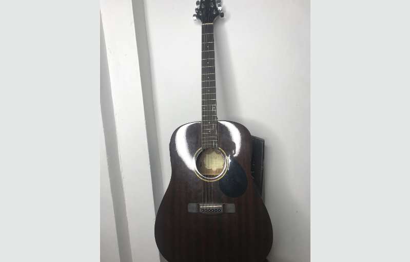 Gereg Benett D-1n Guitar With Professional Case 