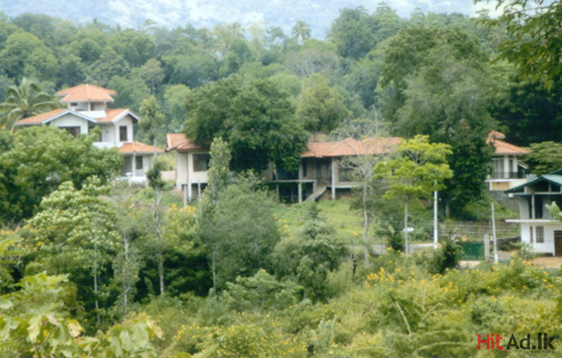 Hitad.lk Kandy land for sale
