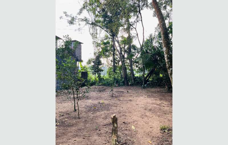 10 Perch Land For Sale In Maharagama