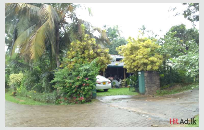 Kurunegala house for sale