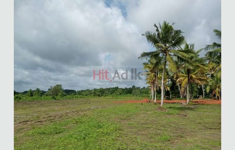 Land For Sale In Horana Keselhenawa