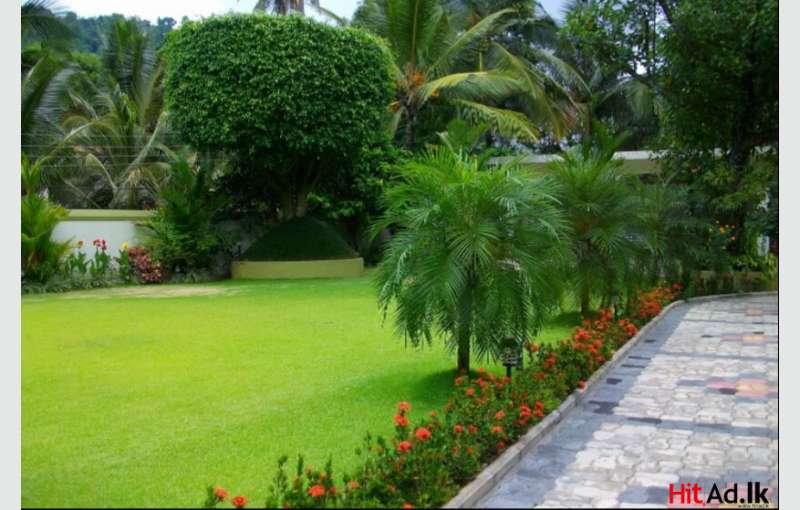 Landscaping And Garden Services 