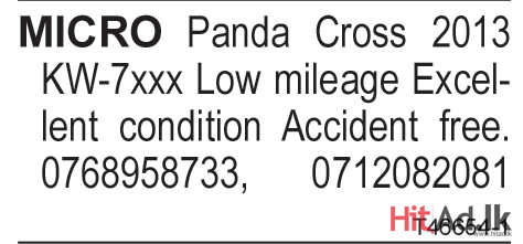 Micro Panda Cross 2013