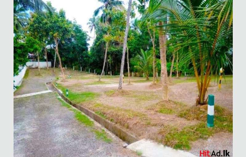 Kadawatha Land For Sale