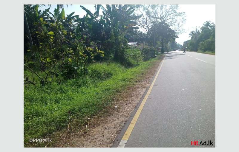 Commercial Land For Sale