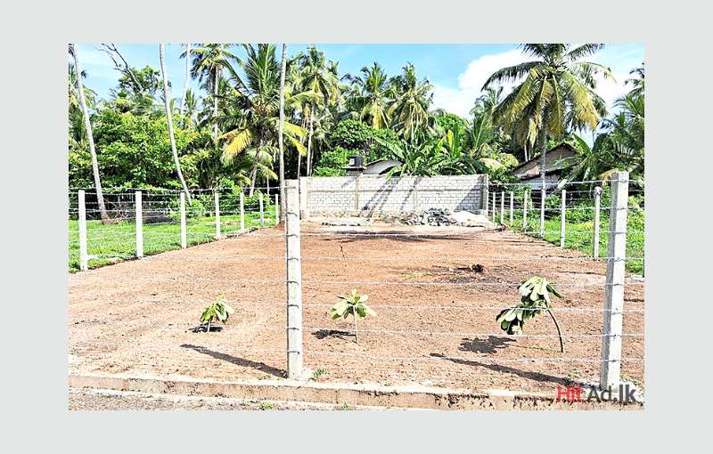 Land for Sale in Dungalpitiya