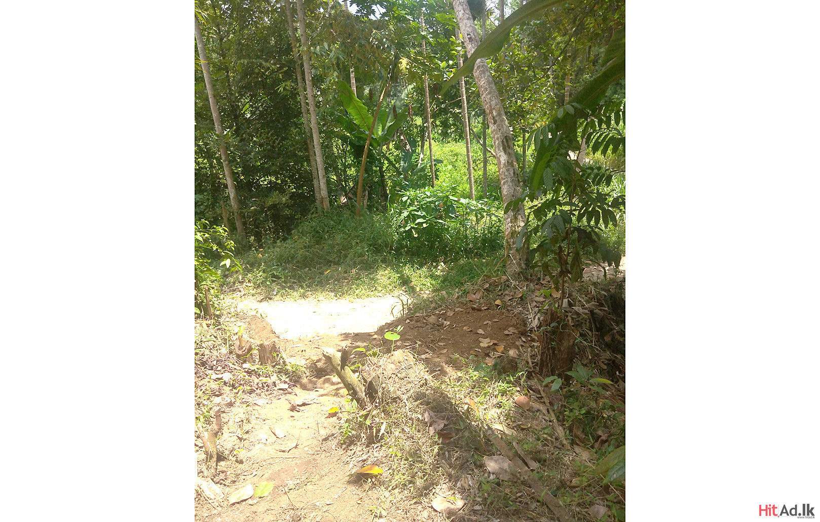 Kandy Land for Sale Property Lands HitAd.lk