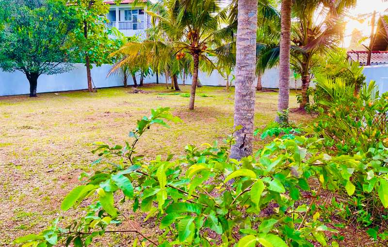 Land for Sale in Panadura