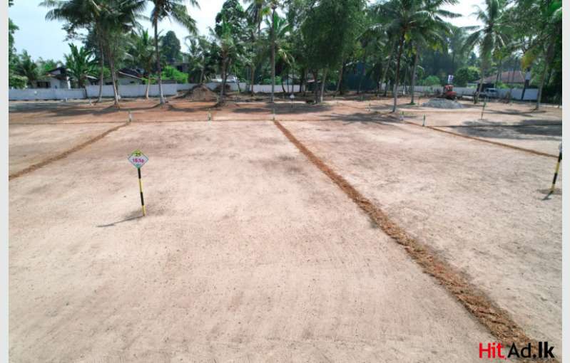 Wadduwa Lands For Sale