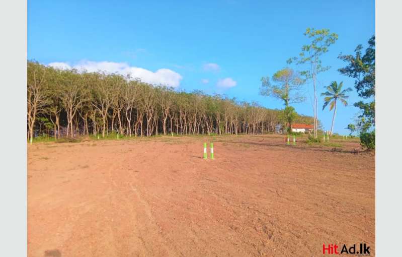 Galle Bentota Land For Sale