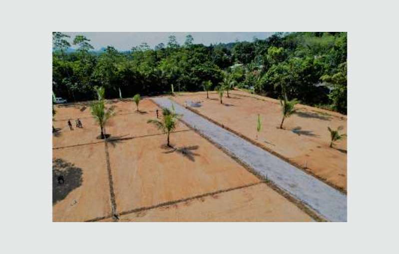 Land For Sale In Thalgahavila