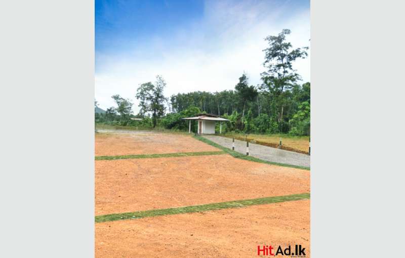 Dompe land for sale