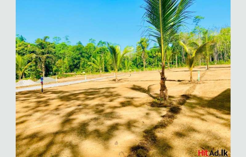 Horana Land For Sale