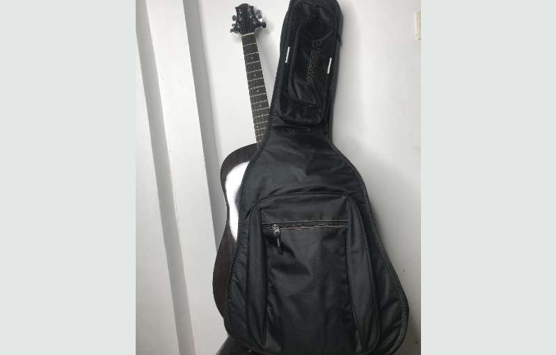 Gereg Benett D-1n Guitar With Professional Case 