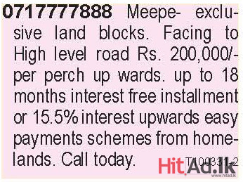 Meepe Exclusive land blocks.