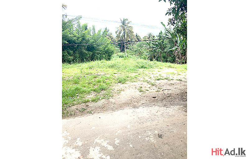 Land for Sale in Watapuluwa