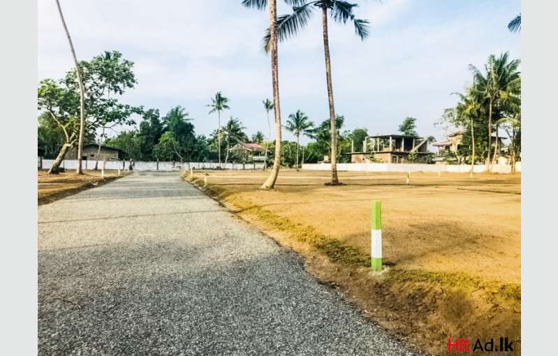 Wadduwa Land For Sale