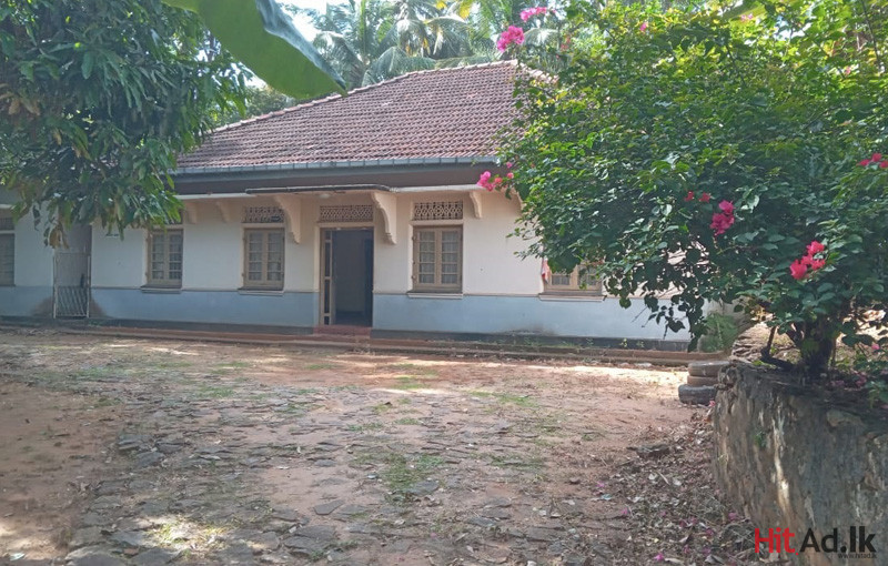 House for rent in Kandy