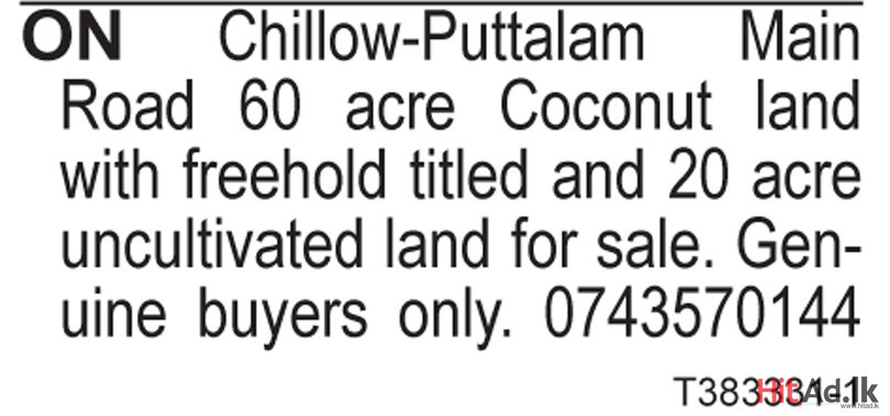 Land for sale in Chillow