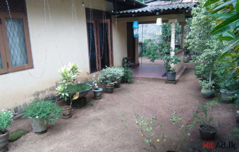 Maharagama house for sale