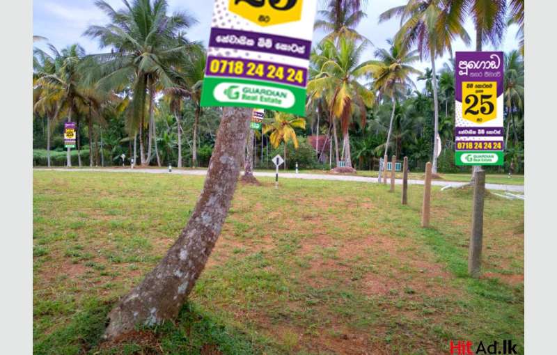 Land for sale in Pugoda