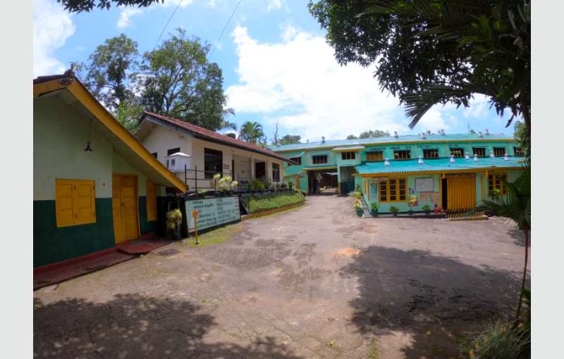 Large capacity tea factory for sale - Property Commercial property ...