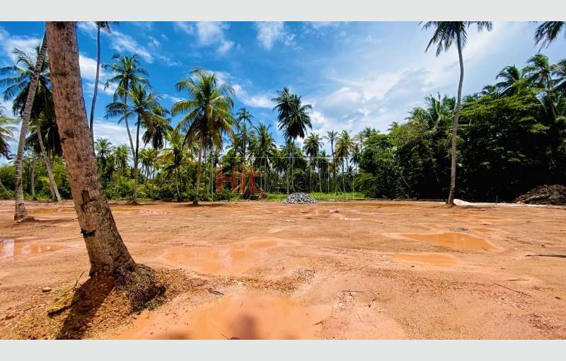 Land For Sale In Pamunugama