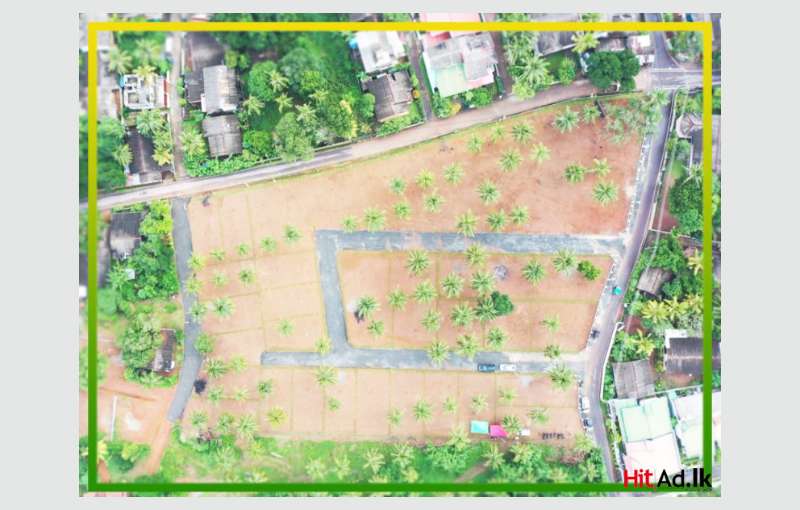 120 Bus Road Near Land For Sale