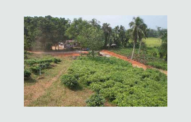 Land For Sale In Horana Warakagoda