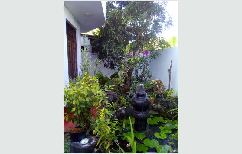 Beautiful Two Storied House For Sale In Colombo 05