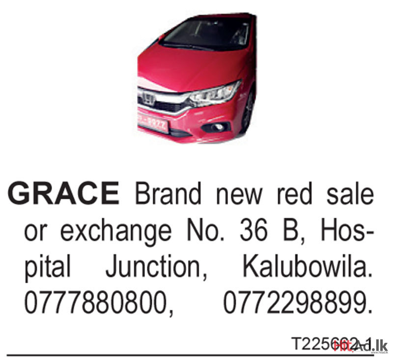 Honda Grace Car