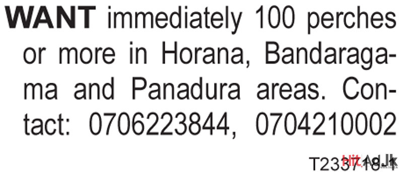 Want Immediately 100 perches or more in Horana