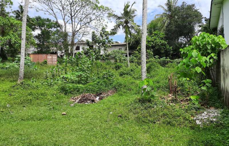 Bare Land for Sale Property Lands HitAd.lk