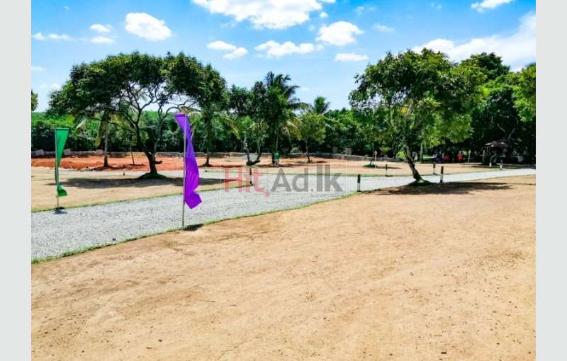 Land For  Sale in  Malwana  