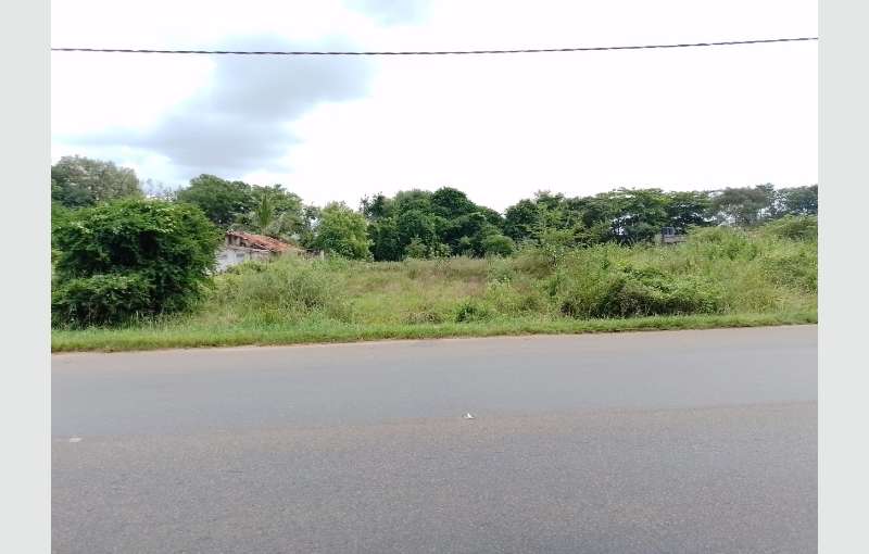 Anuradhapura Commercial land for Sale Property Lands HitAd.lk