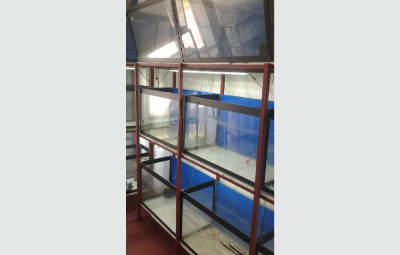 Aquarium For Sale 