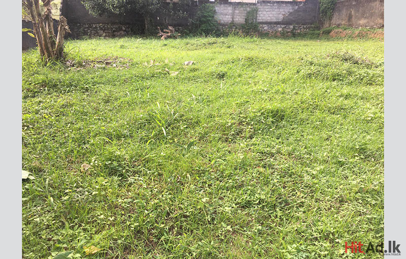 Land for Sale in Kadawatha