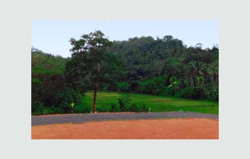 Induruwa Land For Sale