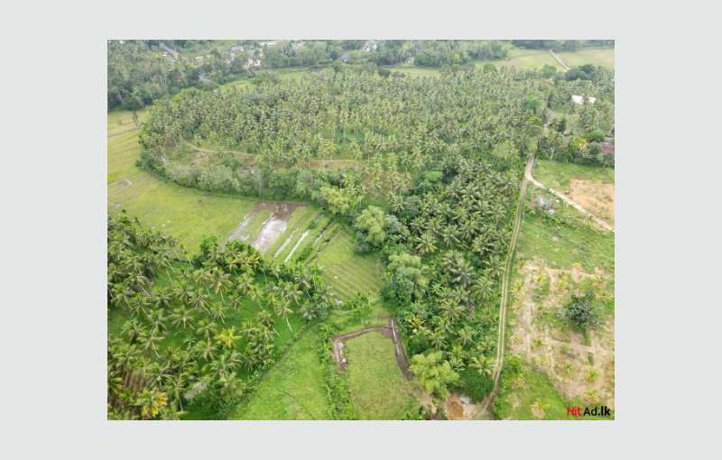 12.5 Acre Land For Sale In Colombo District