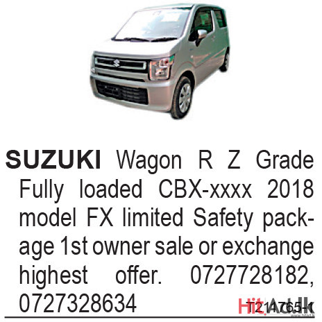 Suzuki Wagon R 2018 Car