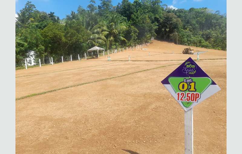 Land for sale in Hanwella 