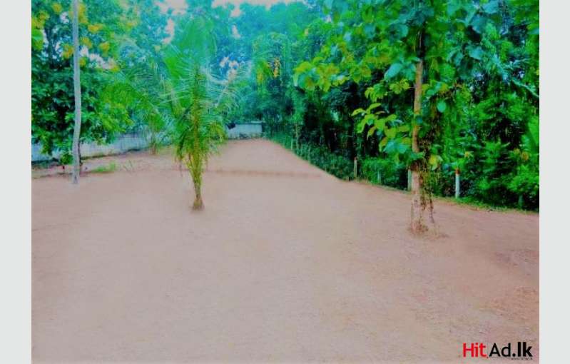 Land For Sale In Gampaha Kadawata