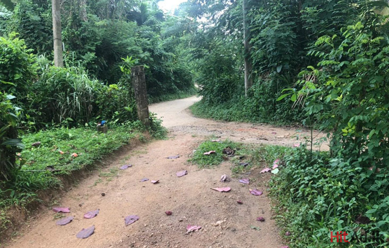 Hitad.lk Kandy house for rent