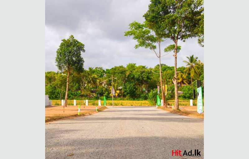 Land for sale in Piliyandala