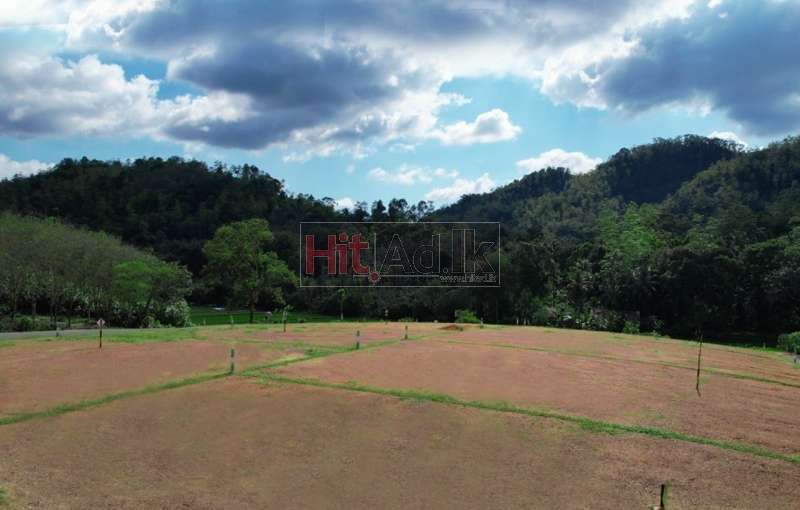 Land For Sale in Bulathsinhala